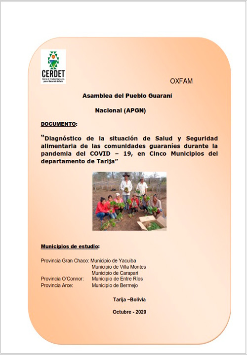 Diagnostico de salud y seguridad alimentaria en comunidades guaranies del Departamento de Tarija