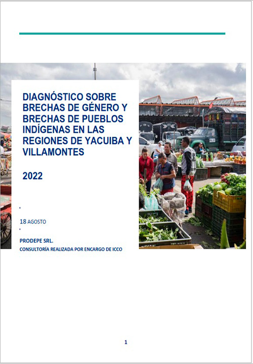 Diagnóstico sobre Brechas de Género y Brechas de Pueblos Indígenas en las Regiones de Yacuiba y Villa Montes